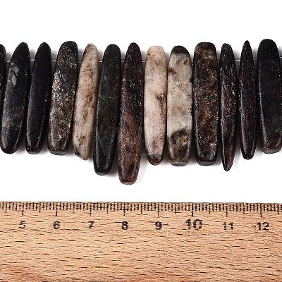 Natural Biotite Beads Strands G-Q616-06A-1