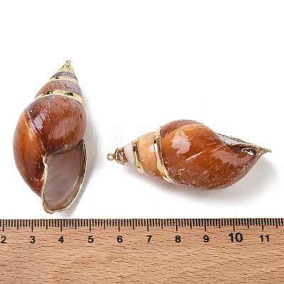 Natural Spiral Conch Shell Big Pendants SH-CBACA76-10-1