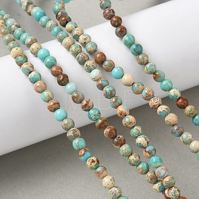 Dyed Natural Regalite/Imperial Jasper/Sea Sediment Jasper Beads Strands G-B124-C05-06-1