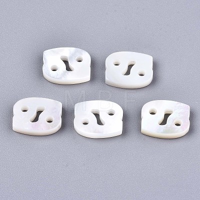 Natural White Shell Beads X-SSHEL-ZX004-02D-1