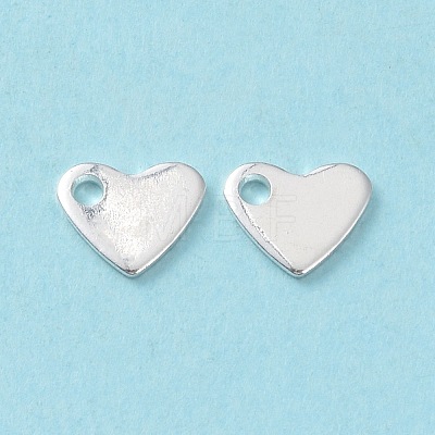 201 Stainless Steel Charms STAS-L234-046S-1