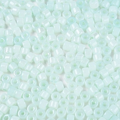 Glass Seed Beads SEED-T008-01E-1