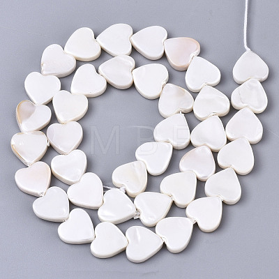 Natural Freshwater Shell Beads Strands X-SHEL-N026-51A-01-1