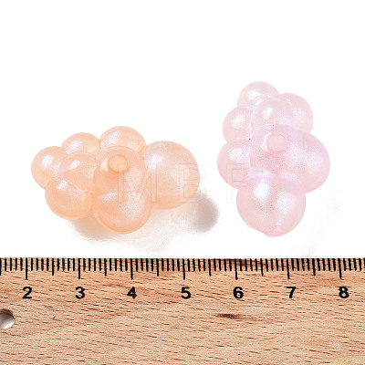 Transparent Acrylic Beads X-OACR-Z013-02B-1