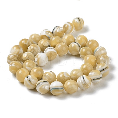 Natural Trochus Shell Beads Strands BSHE-P033-03C-1