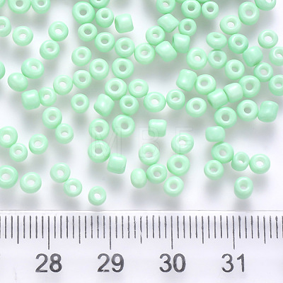 6/0 Baking Paint Glass Round Seed Beads SEED-S036-01C-02-1