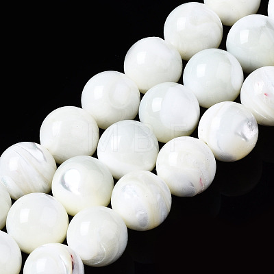 Natural Trochid Shell/Trochus Shell Beads Strands SSHEL-S266-023A-04-1