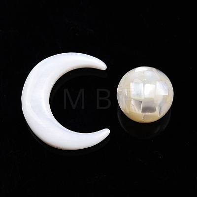 Natural Freshwater Shell Beads SSHEL-N032-51-A01-1