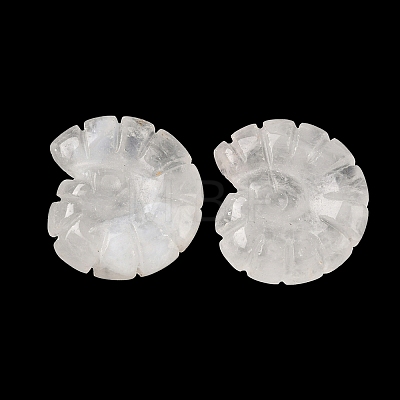 Natural Quartz Crystal Conch Display Decorations DJEW-D303-01E-1