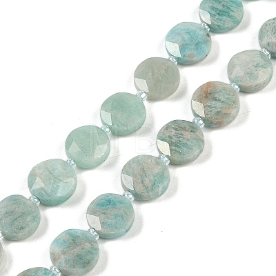 Natural Amazonite Beads Strands G-C116-A23-01A-1