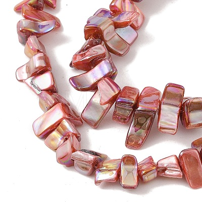 Natural Freshwater Shell Beads Strands BSHE-H018-07B-1