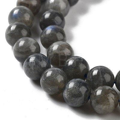Natural Labradorite Beads Strands G-S333-8mm-035-1