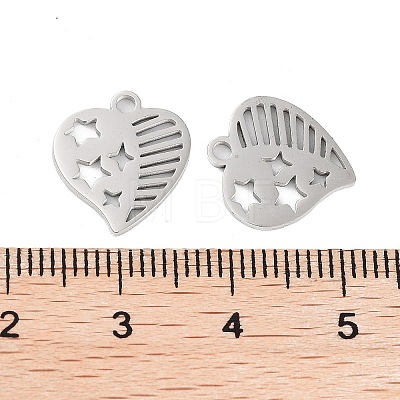 316 Stainless Steel Charms STAS-C096-12E-P-1