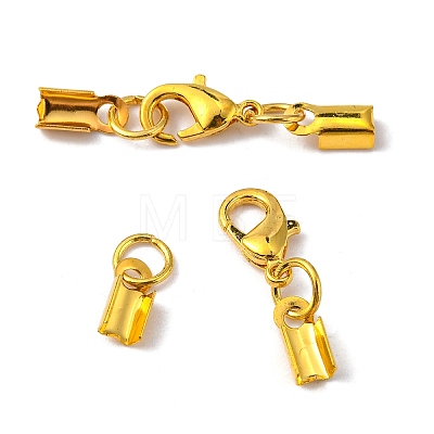Rack Plating Alloy Lobster Claw Clasps with Clip Ends PALLOY-P001-03G-1
