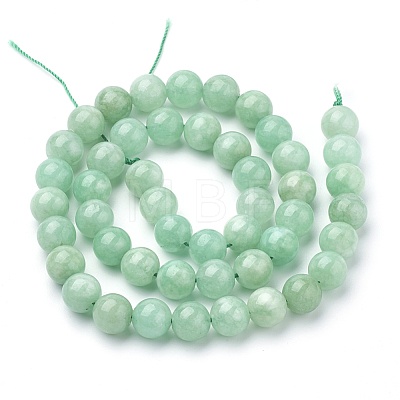 Natural Myanmar Jade/Burmese Jade Beads Strands G-T064-22-10mm-1