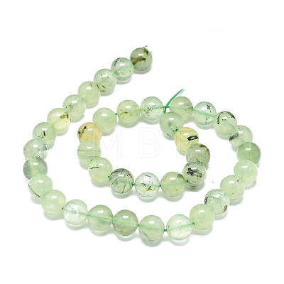 Natural Prehnite Beads Strands G-O201A-06C-1
