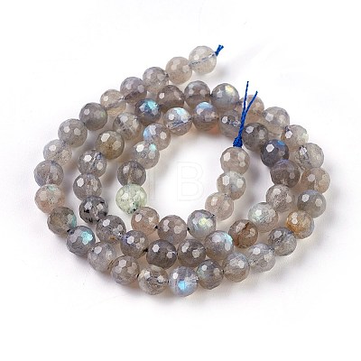 Natural Labradorite Beads Strands G-O176-04B-1