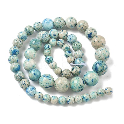 Natural Fossil Graduated Beads Strands G-F830-A03-01E-1