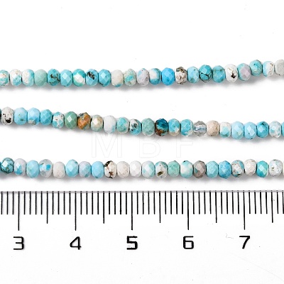 Natural Howlite Beads Strands G-H025-03B-05-1