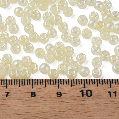 6/0 Imitation Jade Glass Seed Beads SEED-N004-006-12-1