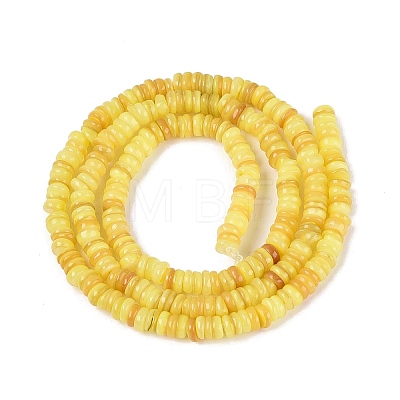 Natural Freshwater Shell Beads Strands SHEL-Q028-01C-1