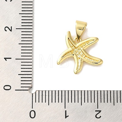 Starfish Rack Plating Brass Charms KK-U027-36G-1