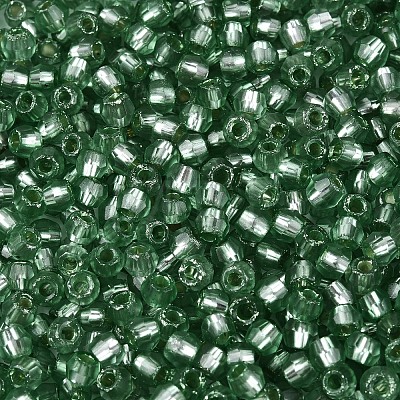 Silver Lined Glass Seed Beads SEED-T007-18A-06-1
