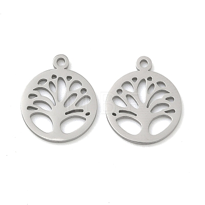 304 Stainless Steel Charms STAS-P433-05P-1