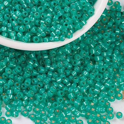 MIYUKI Round Rocailles Beads X-SEED-G008-RR0572-1