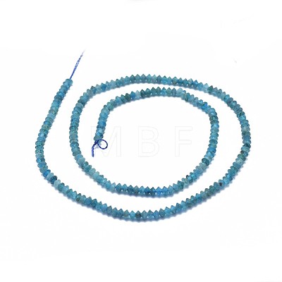 Natural Apatite Beads Strands G-I249-D03-02-1