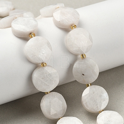 Natural Rainbow Moonstone Beads Strands G-C116-A168-03-1
