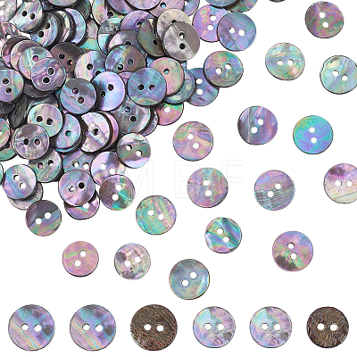 120Pcs 2 Styles Natural Paua Shell Buttons BUTT-ME0001-43-1