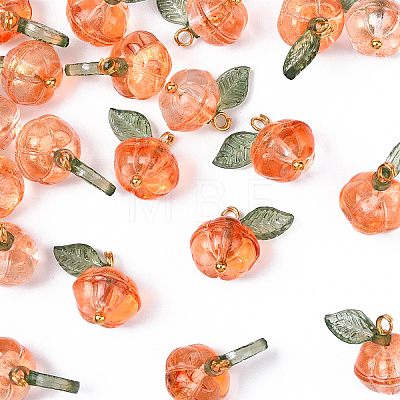 20Pcs Transparent Glass Charms PALLOY-YW00094-1