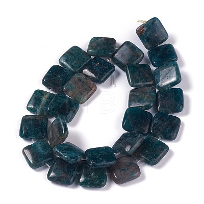 Natural Apatite Beads Strands G-H242-06B-1