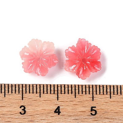 Synthetic Shell Dyed Beads SHEL-C007-04B-1