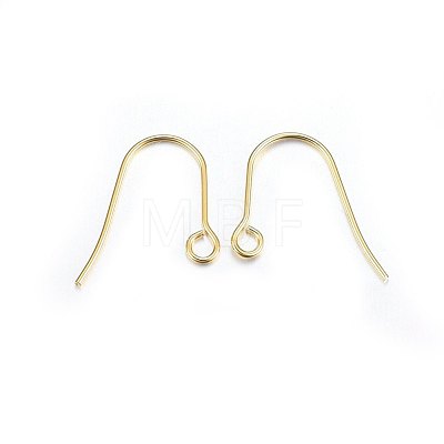 304 Stainless Steel Earring Hooks STAS-P210-21G-1
