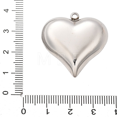 304 Stainless Steel Pendants STAS-Q349-02D-P-1