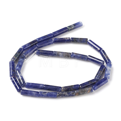 Natural Sodalite Beads Strands G-F247-30-1