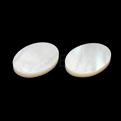 Natural White Shell Cabochons SSHEL-M022-03-1
