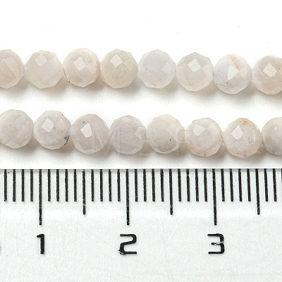 Natural Rainbow Moonstone Beads Strands G-A097-A02-06-1