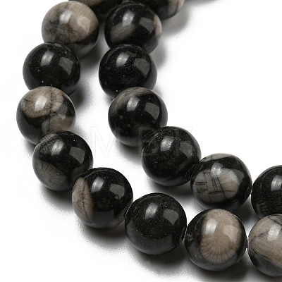 Natural Black Fossil Coral Beads Strands G-R494-A04-03-1