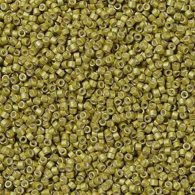 MIYUKI Delica Beads X-SEED-J020-DB1154-1