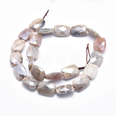 Electroplate Natural Sunstone Beads Strands G-K256-19C-01-1