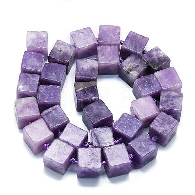 Natural Lepidolite/Purple Mica Stone Beads Strands G-K245-F01-01-1
