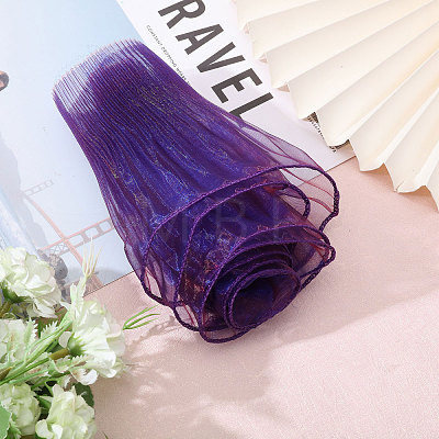 10 Yards Organza Pleated Lace Ribbon OCOR-GL0001-12B-1