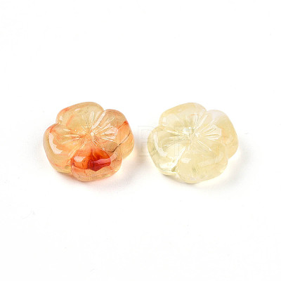 Transparent Acrylic Beads TACR-T028-40F-1