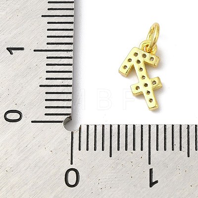 925 Sterling Silver Charms STER-M120-03I-G-1