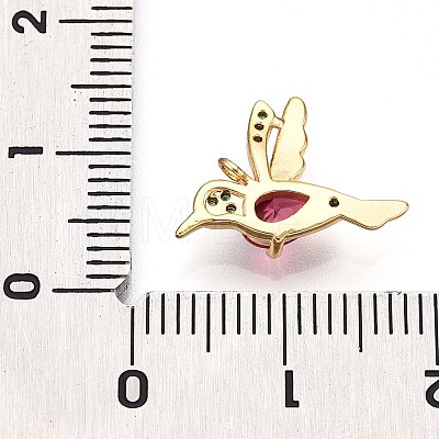 Brass Micro Pave Cubic Zirconia Charms X-KK-N261-11G-1