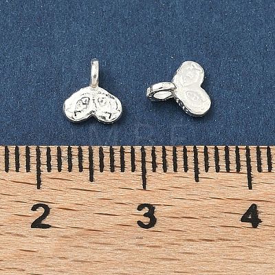 925 Sterling Silver Charms STER-A050-01A-S-1