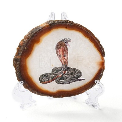 Printed Natural Agate Slice Stone Ornament DJEW-M011-04D-1